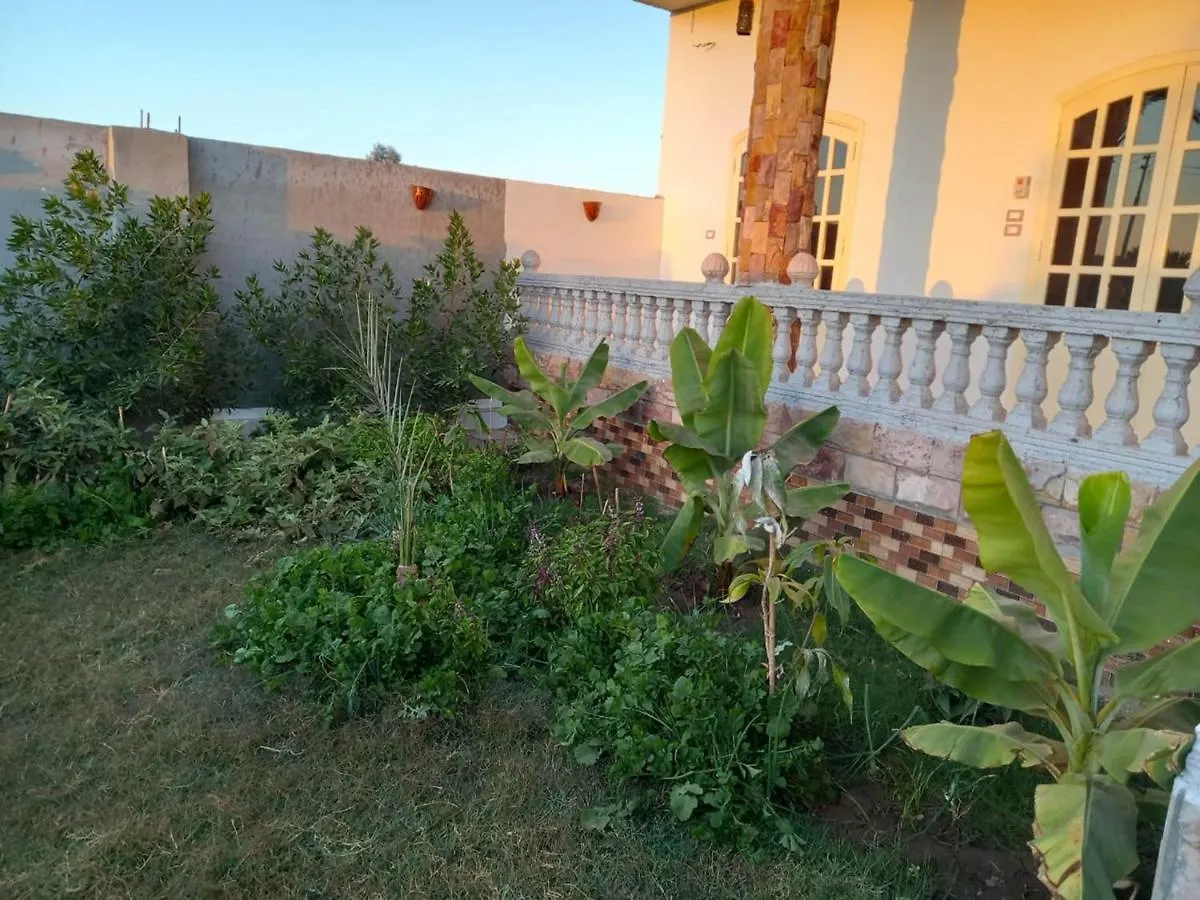 Apartment Noby Guest House Luxor Egypt