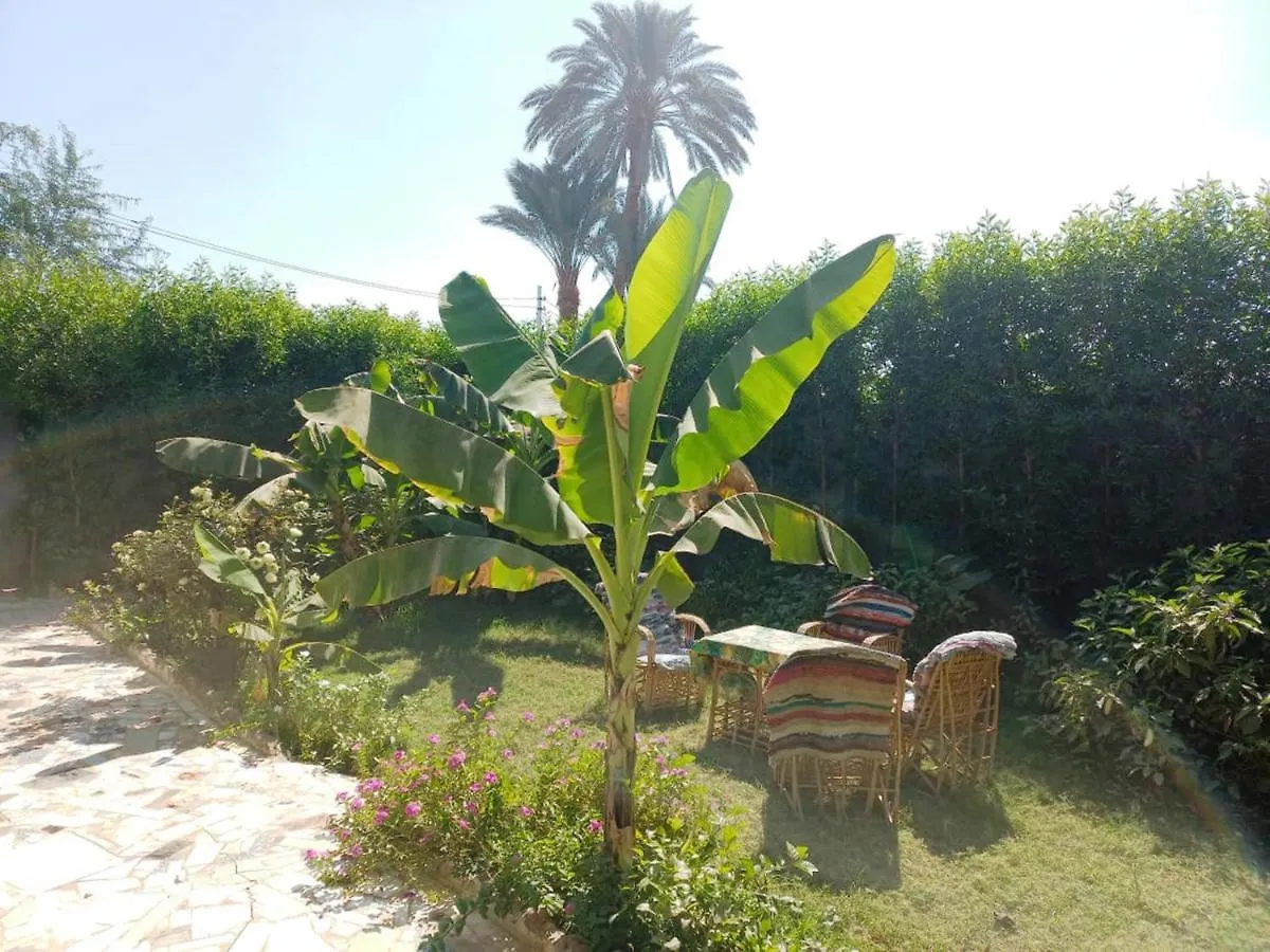 Apartment Noby Guest House Luxor